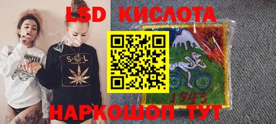 трава Гатчина
