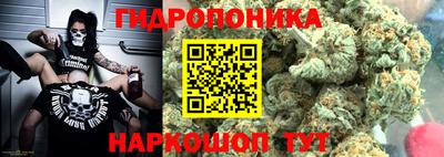 трава Гатчина