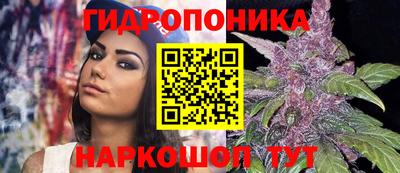 круглые Гай