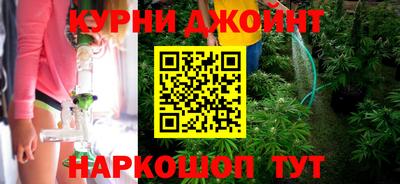 трава Гатчина