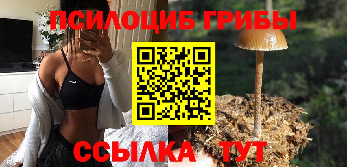Сердобск  Галлюциногенные грибы Cubensis  Вход с VPN 